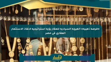 «فرصة ذهبية» الهيئة السيادية للعقار رؤية استراتيجية لإنقاذ الاستثمار العقاري في مصر